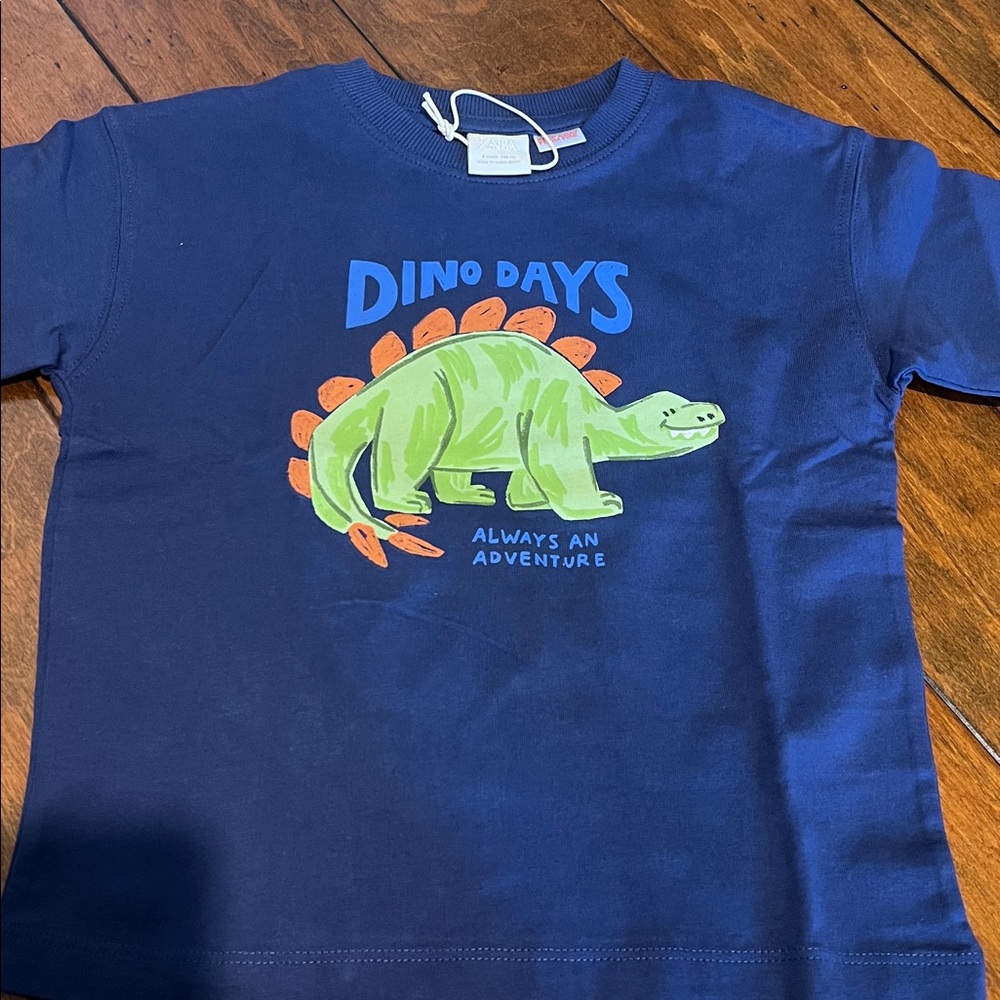 Zara dinosaur t shirt. New never worn has tag strap. Tag came off